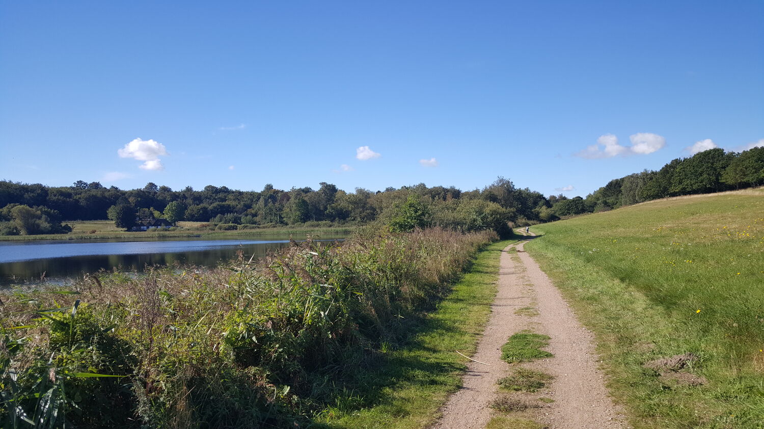 Sti langs Bastrup sø