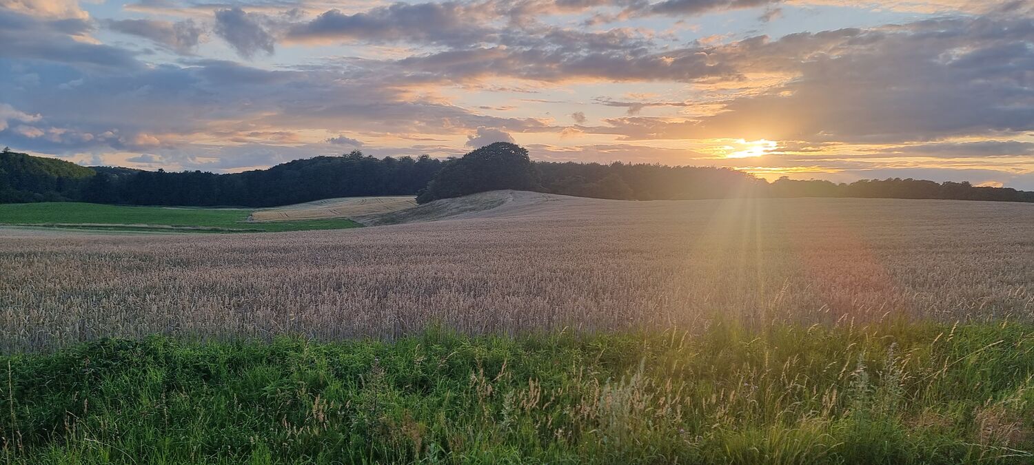 Solnedgang over markerne nær Myretuen